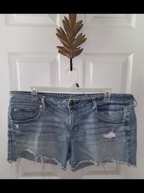 American Eagle Women's Distressed Light Blue Denim Shorts